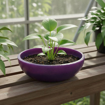 Handmade Purple Resin Bowl, Modern Planter, Eco-Friendly Decor