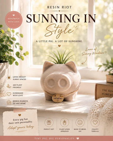 Concrete Pig Air Plant Holder Adopt A Pig With Air Plant Pig With A Personality