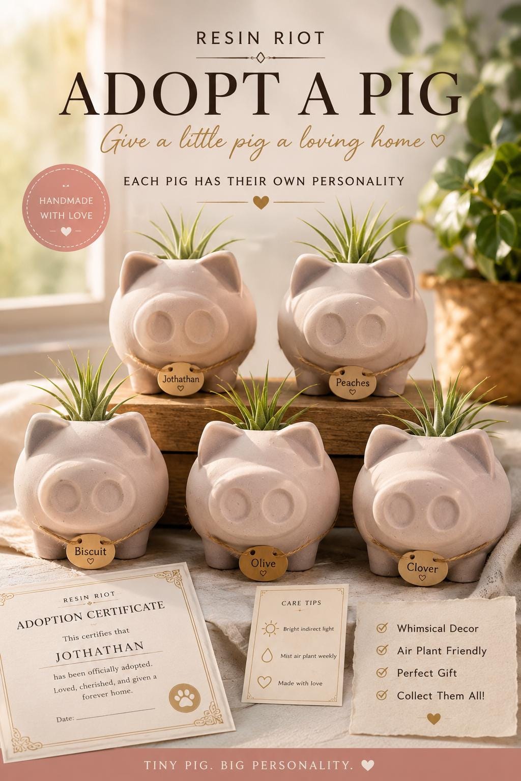 Concrete Pig Air Plant Holder Adopt A Pig With Air Plant Pig With A Personality